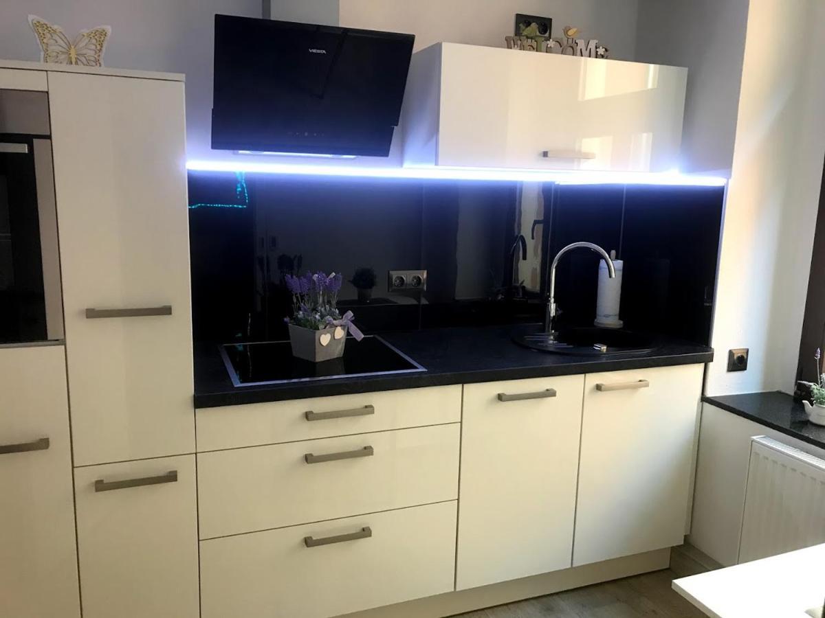 Salzhausblick Business Apartments - Zentrale Lage Am Salzhaus - Mwst-Rechnung Verfuegbar Zittau Chambre photo