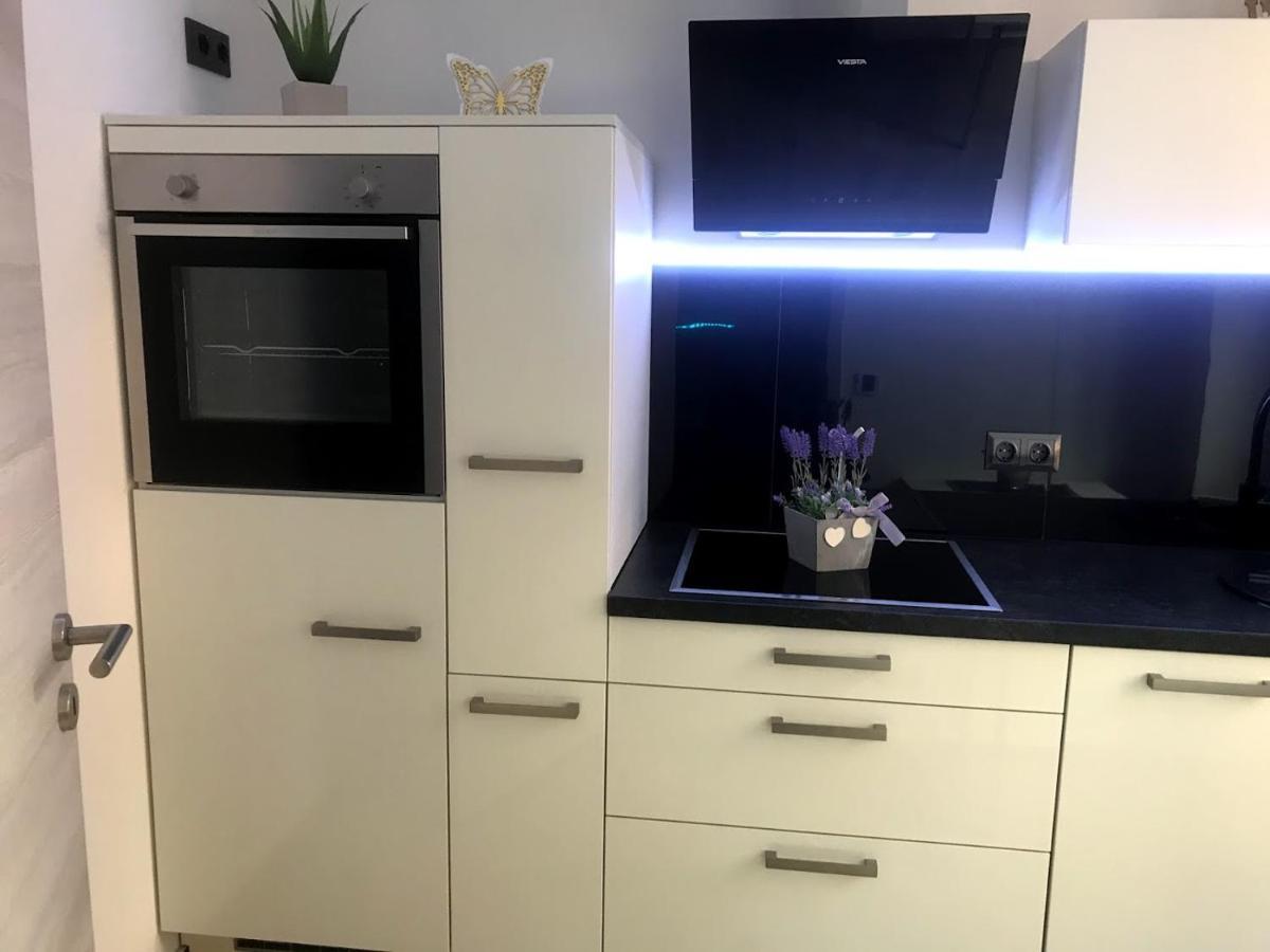 Salzhausblick Business Apartments - Zentrale Lage Am Salzhaus - Mwst-Rechnung Verfuegbar Zittau Chambre photo