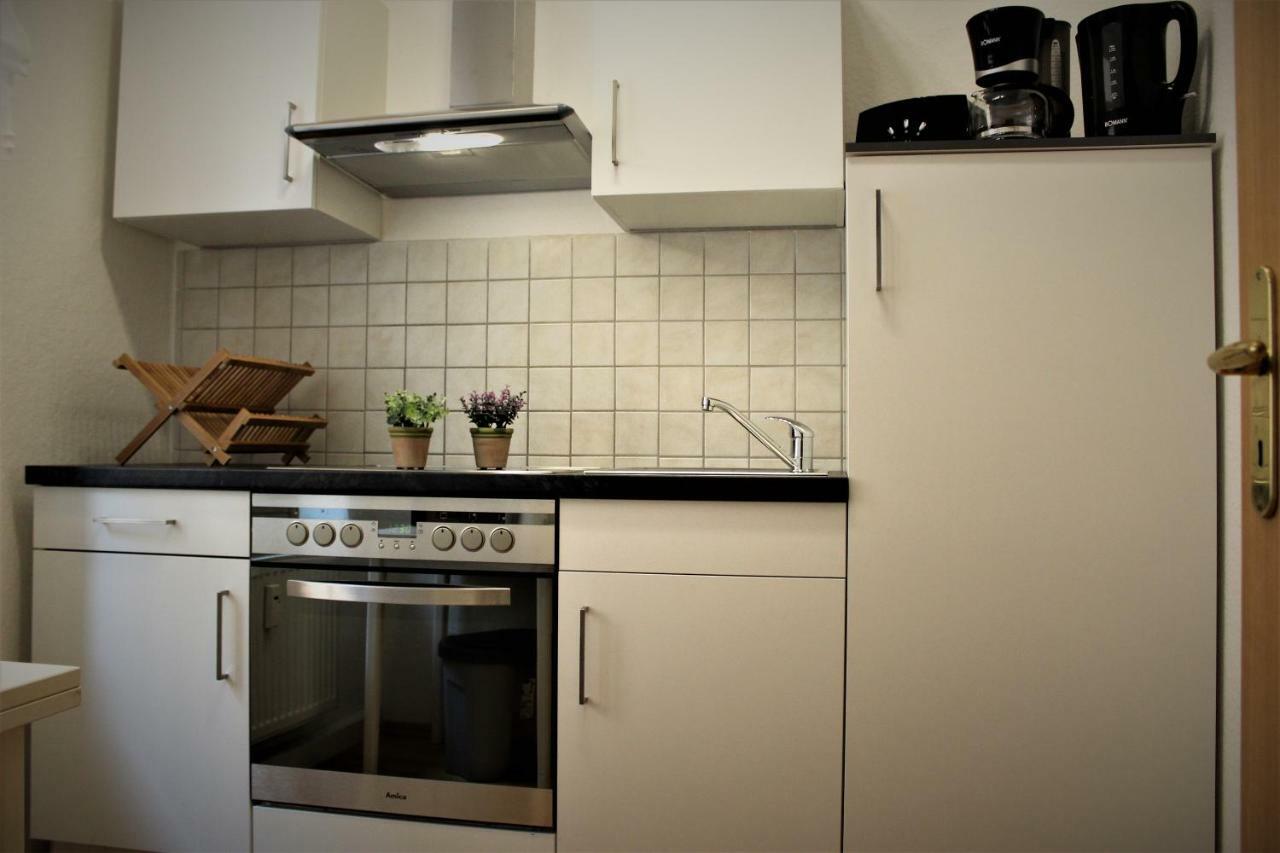 Salzhausblick Business Apartments - Zentrale Lage Am Salzhaus - Mwst-Rechnung Verfuegbar Zittau Extérieur photo