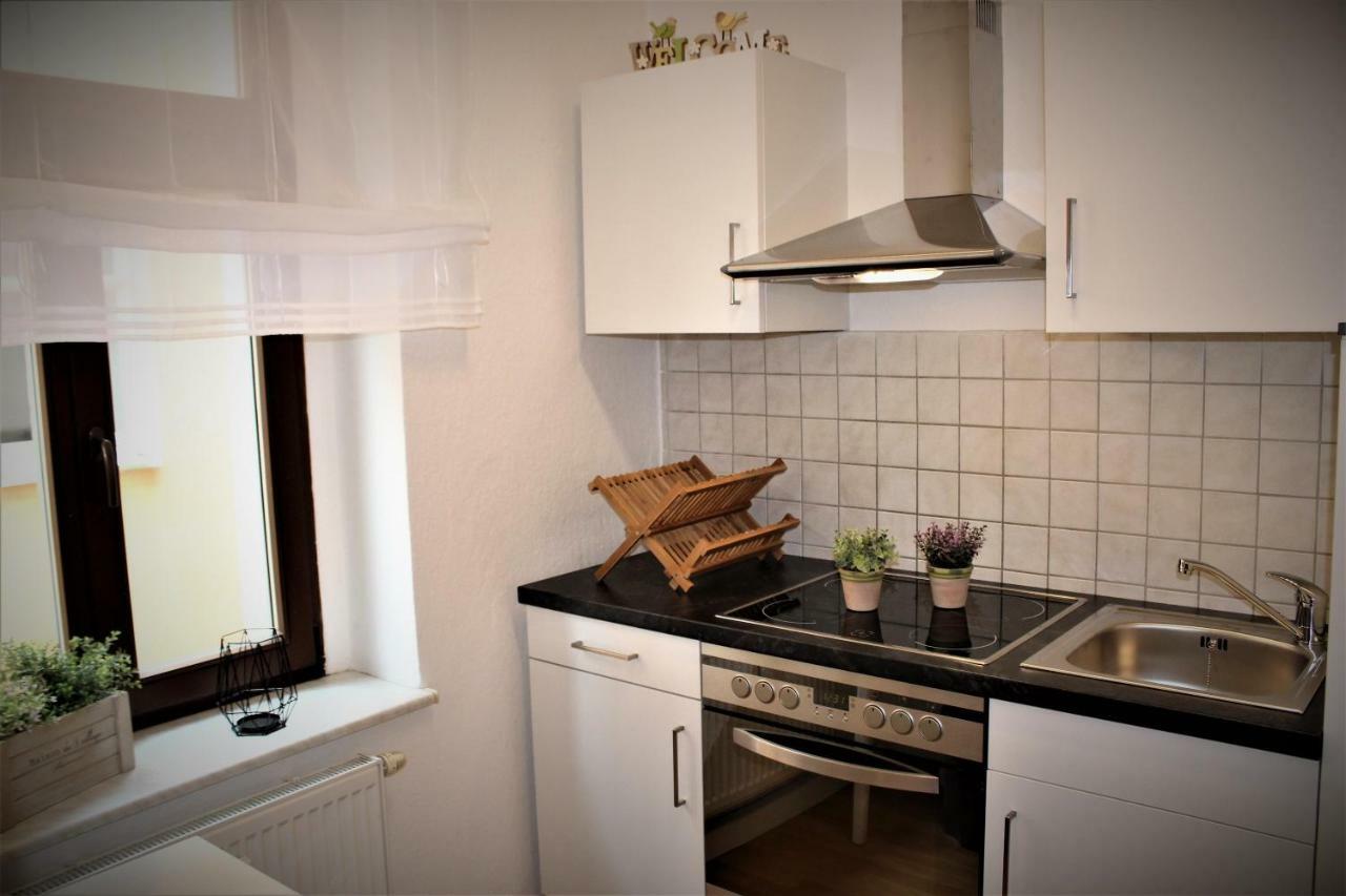 Salzhausblick Business Apartments - Zentrale Lage Am Salzhaus - Mwst-Rechnung Verfuegbar Zittau Extérieur photo