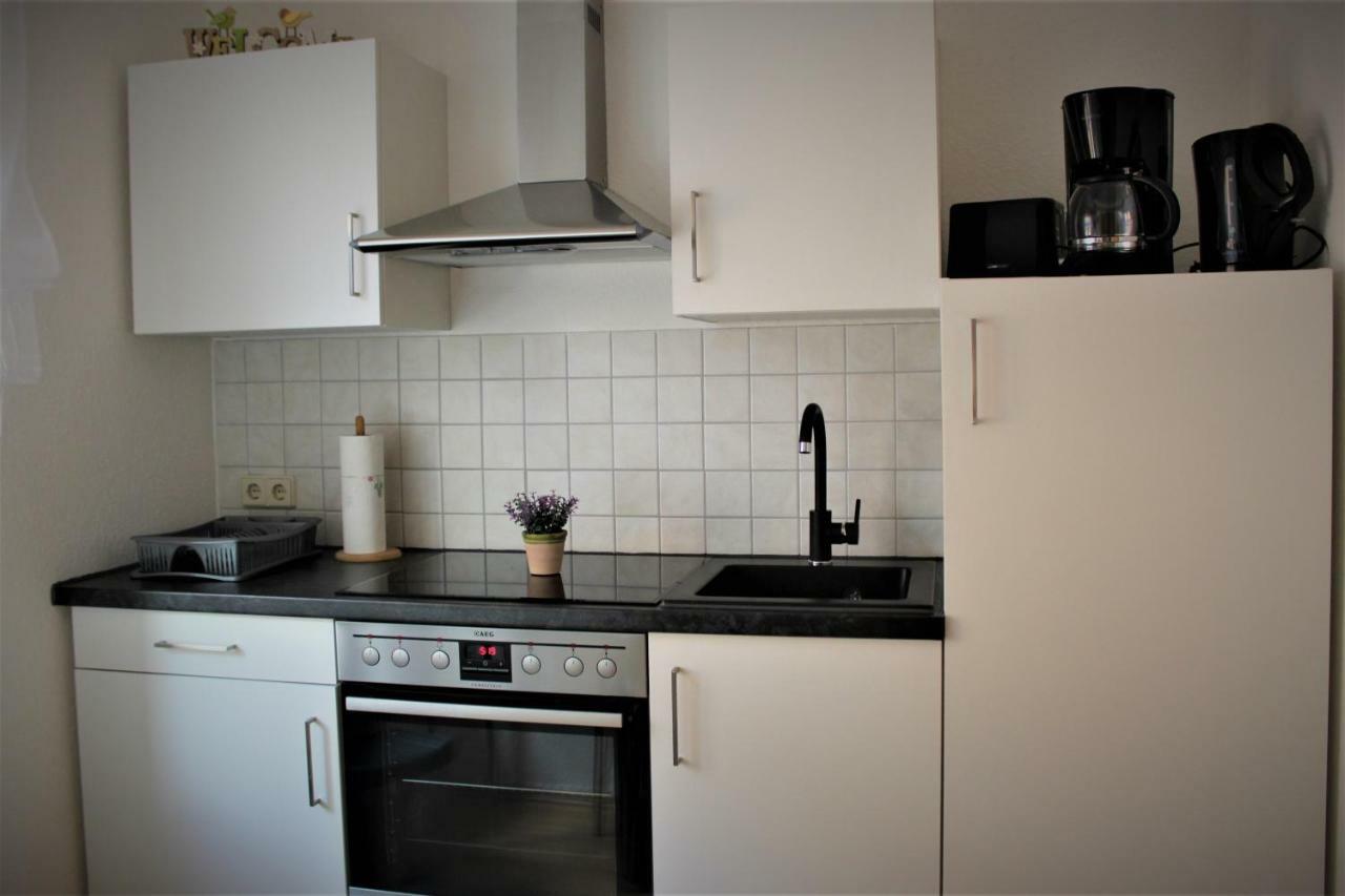 Salzhausblick Business Apartments - Zentrale Lage Am Salzhaus - Mwst-Rechnung Verfuegbar Zittau Extérieur photo